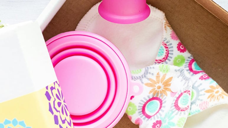 Menstrual Hygiene Integral To Right To Life And Education, Says Supreme Court