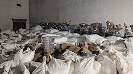 गुटख्याच्या कारखान्यावर पोलिसांची धाड; 3 कोटींचा मुद्देमाल जप्त