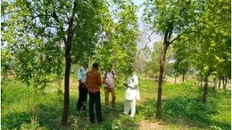 Success Story: 65 हजार के इन्वेस्टमेंट से करोड़पति बना भरतपुर का किसान, इस खेती से कमाया तगड़ा मुनाफा