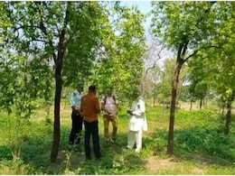 Success Story: 65 हजार के इन्वेस्टमेंट से करोड़पति बना भरतपुर का किसान, इस खेती से कमाया तगड़ा मुनाफा