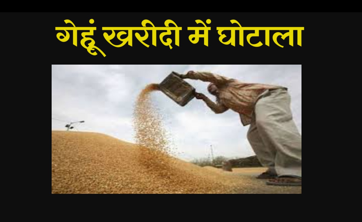 गेहूं उपार्जन में बड़ा घोटाला... नागरिक आपूर्ति निगम का जिला प्रबंधक निलंबित, जानिए पूरा मामला
