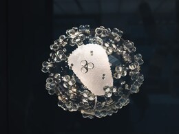 'Selfish' Genes "Introners" Proves To Be Major Source Of Genetic Complexity: Study 'Selfish' Genes "Introners" Proves To Be Major Source Of Genetic Complexity: Study