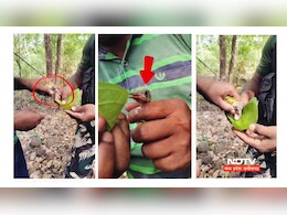 आसमानी आग ले रही बेजुबान पक्षियों की जान, सुरक्षा बल के जवान ने ऐसे दिखाई इंसानियत 