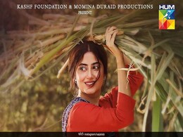 दुनियाभर में हो रही है इस पाकिस्तानी सीरियल की तारीफ, लेकिन लीड एक्ट्रेस की फीस इंडिया के इंजीनियर से भी कम दुनियाभर में हो रही है इस पाकिस्तानी सीरियल की तारीफ, लेकिन लीड एक्ट्रेस की फीस इंडिया के इंजीनियर से भी कम