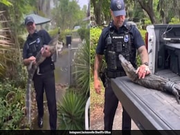 "We Can't Cuff Him": Cops Catch Alligator From 104-Year-Old US Woman's Home "We Can't Cuff Him": Cops Catch Alligator From 104-Year-Old US Woman's Home