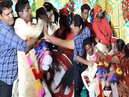 जयमाला के बाद एक दूसरे से भिड़ गए दूल्हा-दुल्हन, जमकर चले जूते-चप्पल, मारे चाटे, देख लोग बोले- 36 के 36 गुण मिल रहे हैं जयमाला के बाद एक दूसरे से भिड़ गए दूल्हा-दुल्हन, जमकर चले जूते-चप्पल, मारे चाटे, देख लोग बोले- 36 के 36 गुण मिल रहे हैं