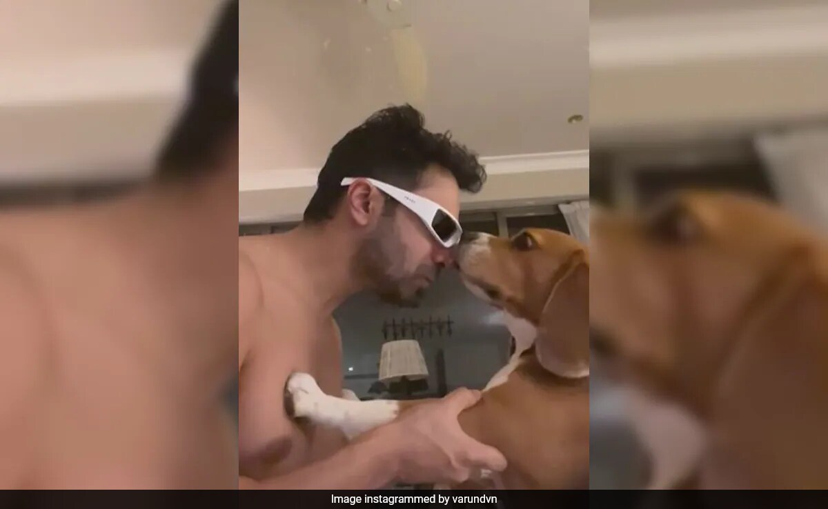 On Varun Dhawan's Post With Pet Joey, Arjun Kapoor Dropped This LOL Comment