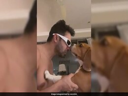 On Varun Dhawan's Post With Pet Joey, Arjun Kapoor Dropped This LOL Comment On Varun Dhawan's Post With Pet Joey, Arjun Kapoor Dropped This LOL Comment