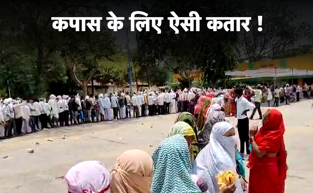'सफेद सोने' के खदान में घमासान, चिलचिलाती गर्मी में भी घंटों लाइन में लगने को मजबूर किसान