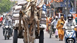राजस्थान में लू-तापघात और मौसमी बीमारियों को लेकर स्वास्थ्य विभाग का अलर्ट, जारी किया गया है निर्देश