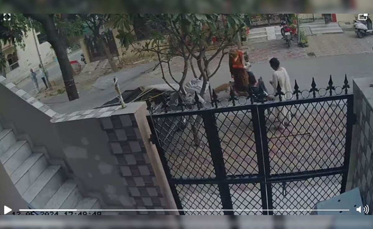 ग्रेटर नोएडा में एक आवारा कुत्ते ने महिला और उसके बच्चे पर किया हमला, वीडियो वायरल 