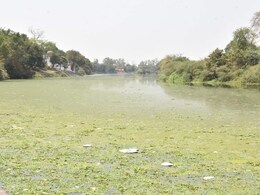 Betwa River: 'MP की गंगा' में गंदगी का अंबार... चुनावों में उठता है सफाई का मुद्दा, लेकिन हर बार वही बुरा हाल Betwa River: 'MP की गंगा' में गंदगी का अंबार... चुनावों में उठता है सफाई का मुद्दा, लेकिन हर बार वही बुरा हाल