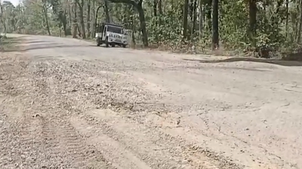 बालाघाट: करोड़ों की लागत से बनी सड़क हुई जर्जर, कौन जिम्मेदार?