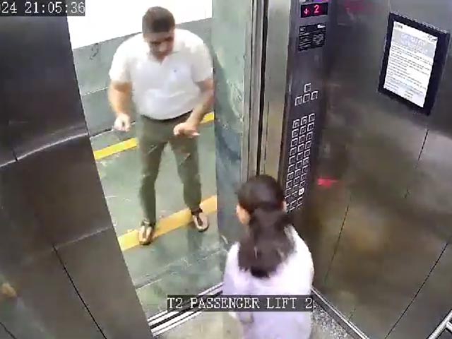 Video: Girl Bitten By Dog In Lift At Noida Apartment