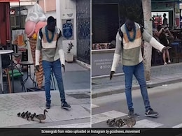 शख्स ने बत्तख और उसके बच्चों को कुछ इस तरह पार कराई सड़क, Video देख खुश हुए लोग, तारीफ में कही ये बात शख्स ने बत्तख और उसके बच्चों को कुछ इस तरह पार कराई सड़क, Video देख खुश हुए लोग, तारीफ में कही ये बात
