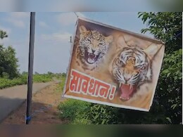 गडचिरोलीत वाघाच्या हल्ल्यात महिलेचा मृत्यू, नागरिकांमध्ये दहशत