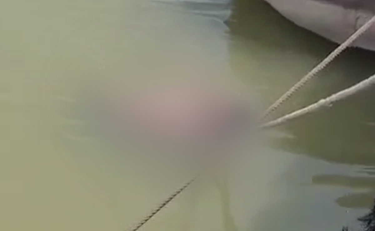 Man Dies Of Snakebite In UP, Family Puts Body In Ganga Hoping For Miracle