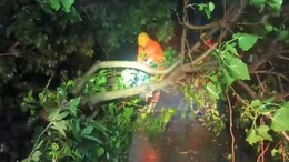 Cyclone Remal Makes Landfall On Bengal Coast, Leaves Trail Of Destruction