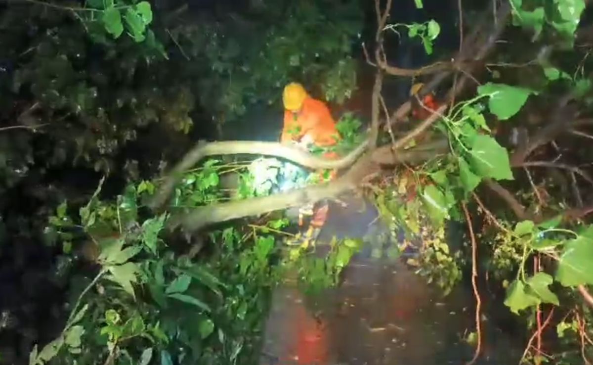 Cyclone Remal Makes Landfall On Bengal Coast, Leaves Trail Of Destruction Cyclone Remal Makes Landfall On Bengal Coast, Leaves Trail Of Destruction