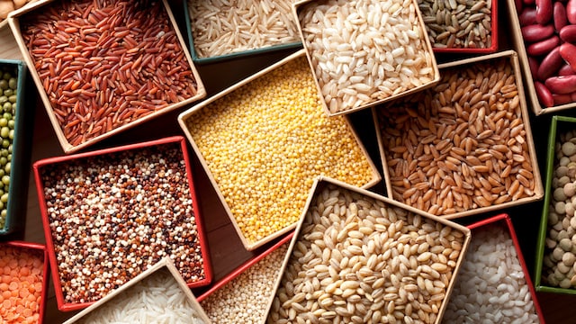 Nutritious food options to maintain health and warmth during winter season