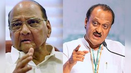 Pawar Factions To Come Together For Pune Polls? Big Hint From Leaders