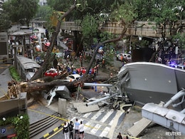 47-Year-Old Man Killed After Massive Tree Falls On Busy Malaysia Road 47-Year-Old Man Killed After Massive Tree Falls On Busy Malaysia Road