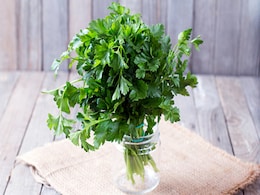 हफ्तेभर में ही सड़कर खराब हो जाते हैं धनिया और पुदीना के पत्ते तो आजमाकर देख लीजिए ये ट्रिक्स, बनी रहेगी ताजगी हफ्तेभर में ही सड़कर खराब हो जाते हैं धनिया और पुदीना के पत्ते तो आजमाकर देख लीजिए ये ट्रिक्स, बनी रहेगी ताजगी