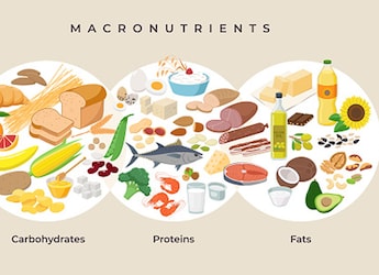 World Food Day 2024: 5 Nutrient Deficiencies That May Lead To Health Issues World Food Day 2024: 5 Nutrient Deficiencies That May Lead To Health Issues