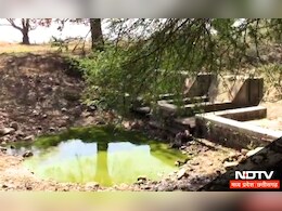 MP News: बैतूल में प्यास से सूखे कंठ, 6 करोड़ रुपये खर्च फिर भी फिल्टर प्लांट से शहर तक नहीं पहुंचा पानी