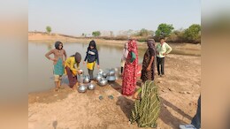 Ground Report: डांग इलाके में तालाब-पोखरों के बदतर हालात, बदबूदार पानी पीने को मजबूर लोग, हो रहा पलायन