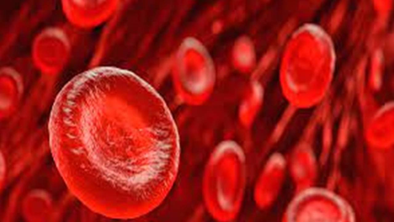 Jaipur Plasma Theft Case: Plasma चोरी का मामला, Hospital से CCTV फुटेज मिले गायब