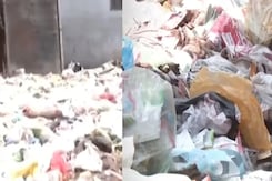 भोपाल में 8500 कर्मचारी होने के बाद भी जगह-जगह क्यों लगा है कचरे का अंबार? भोपाल में 8500 कर्मचारी होने के बाद भी जगह-जगह क्यों लगा है कचरे का अंबार?