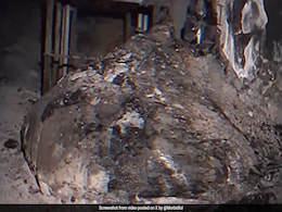 Elephant's Foot Formed By Chernobyl Disaster Is The Most Dangerous Object Elephant's Foot Formed By Chernobyl Disaster Is The Most Dangerous Object