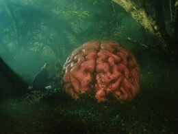 इस फिल्म के सम्मान में दर्शक 4 मिनट तक बजाते रहे तालियां, फिल्म मेकर्स भी हो गए भावुक