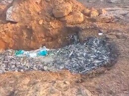 धमतरी के बांध में हजारों मछलियों की मौत !&nbsp;मजबूरी में ज़हरीला पानी पी रहे लोग&nbsp;