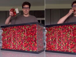 Man Attempts To Eat "100 Litres" Of Strawberries, Internet Calls Him "Guy From Math Problems"