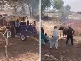Rajasthan News: चुरू में दलित परिवार के साथ मारपीट, ट्रैक्टर से कुचलने का किया प्रयास Rajasthan News: चुरू में दलित परिवार के साथ मारपीट, ट्रैक्टर से कुचलने का किया प्रयास