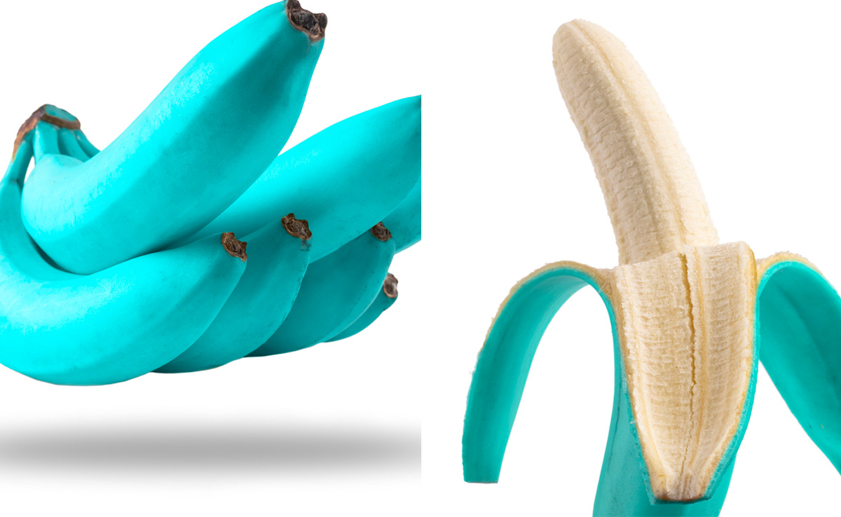 पीला और लाल ही नहीं नीला भी होता है केला, आइसक्रीम जैसे स्वाद वाले Blue Banana को खाने से मिलते हैं ढेरों फायदे