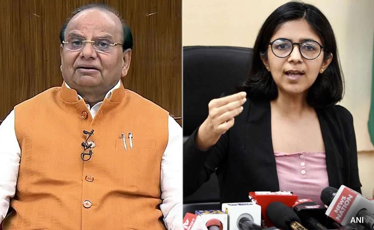 Lt Governor Sacks 223 From Delhi Women Panel, AAP's Swati Maliwal Replies