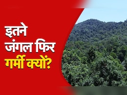छत्तीसगढ़ में 44.21 % हिस्से में जंगल फिर क्यों पड़ रही है रिकॉर्डतोड़ गर्मी ?