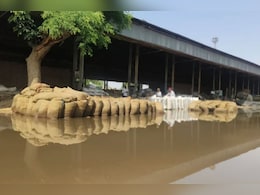 Rain in Rajasthan: बारिश से मंडी में गेहूं से भरी बोरी भीगे, सड़ांध से फैली बदबू Rain in Rajasthan: बारिश से मंडी में गेहूं से भरी बोरी भीगे, सड़ांध से फैली बदबू