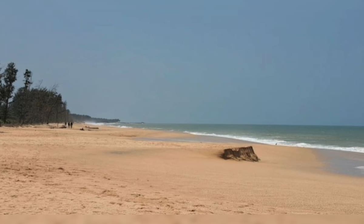 Pune School Principal Drowns Off Beach During Picnic Trip In Maharashtra