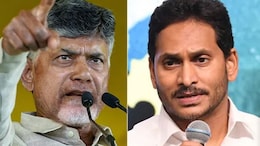 "Chandrababu Naidu Habitual Liar": Jagan Reddy Writes To PM Amid Laddoo Row