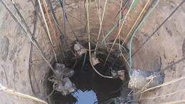Rajasthan Water Crisis: बिजली के खंभों पर 'पानी के तार', ग्रामीणों की इस पहल से प्यास बुझा रहा राजस्थान का पूरा गांव