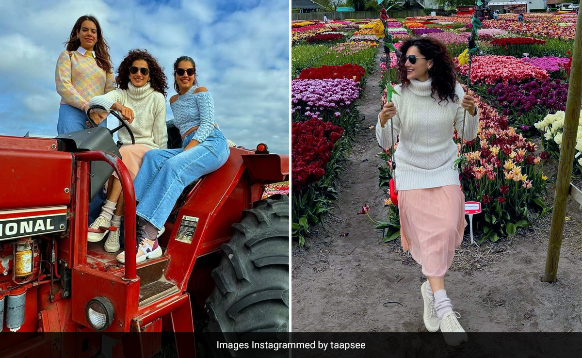 Just Like Taapsee Pannu Find Yourself In A Field Of Flowers At Keukenhof, 5 More Things To Do In Amsterdam
