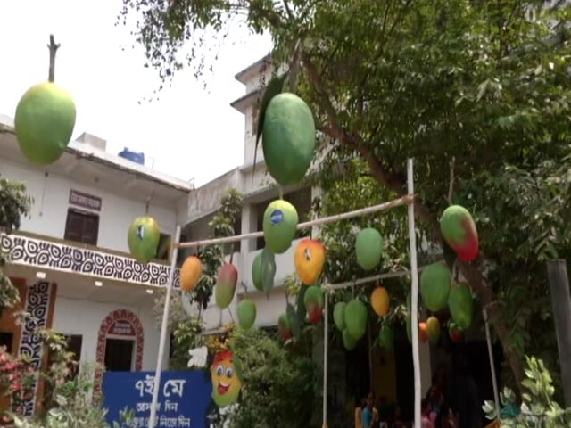 Lok Sabha Elections 2024 | Mango-Themed Voting Booth In West Bengal's Malda
