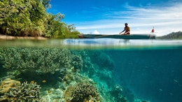Thailand Closes Island After Discovery Of Extensive Coral Bleaching