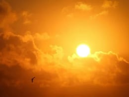 Heat Stroke : गर्मियों में लू से बचने के लिए अपनाएं ये तरीका, जानिए यहां Heat Stroke : गर्मियों में लू से बचने के लिए अपनाएं ये तरीका, जानिए यहां