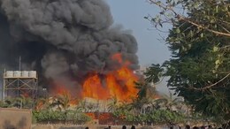 "Now We Don't Trust Gujarat Government": High Court On Rajkot Fire Lapses