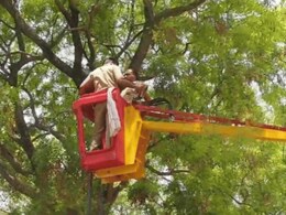 UP Woman Pours Diesel, Climbs Tree, Threatens To Kill Self After Losing Job